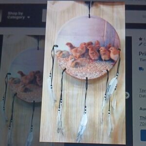 Chick-Themed Dreamcatcher with Feathers